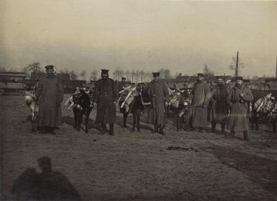 Bepakte ezels brengen voorraden naar Duitse soldaten in loopgrachten,  Izegem