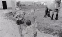 Kinderen op boerderij van M. Geldof, Staden juli 1972