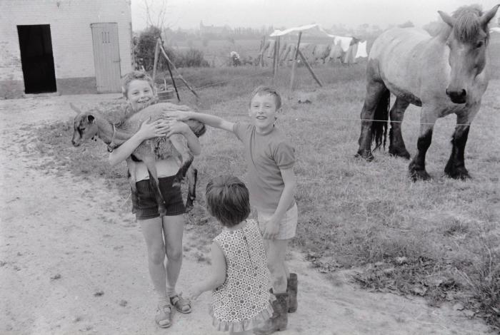 Kinderen op boerderij van M. Geldof, Staden juli 1972