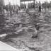 Opening zwembad, Moorslede juni 1972