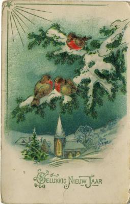Beeldzijde nieuwjaarskaart, winters dorpszicht met roodborstjes