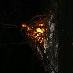 Chiro Gits, kamp 2007 ( deel II )