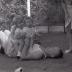 Spelende kinderen in tuin, Moorslede 1971