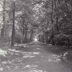 Kasteel en park Sterrebos, Rumbeke 1970