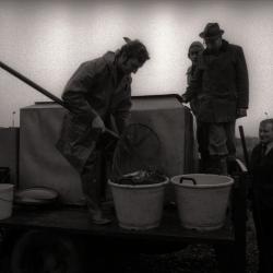 Uitzetten van vis in visvijver, Moorslede 1976