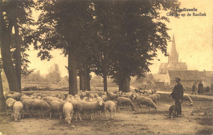 Schaapskudde met herder, Dadizele