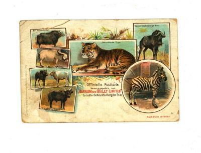 Officiële postkaart van het Barnum en Bailey circus met allerlei dieren