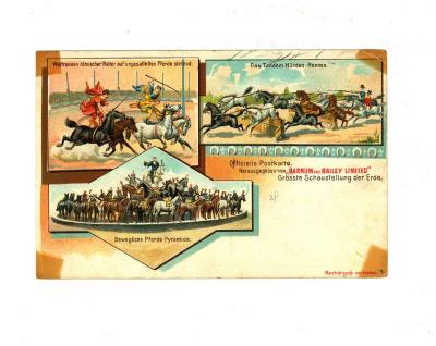 Officiële postkaart van het Barnum en Bailey circus met paarden