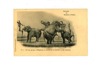Postkaart met olifanten van het Barnum circus