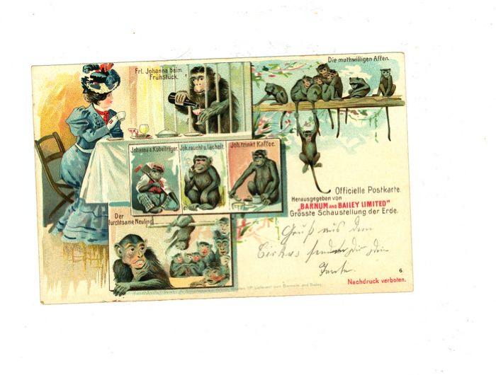 Officiële postkaart van het Barnum en Bailey circus met apen