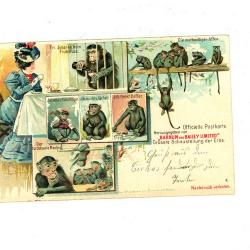 Officiële postkaart van het Barnum en Bailey circus met apen