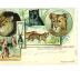 Officiële postkaart van het Barnum en Bailey circus met katachtigen en antilope