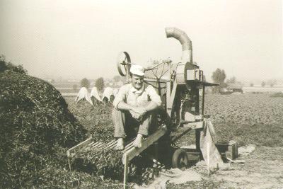 Landbouwer rust op dorsmachine voor droge erwten in jaren 1960