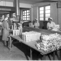 Puddingfabriek Vyncke, 1950