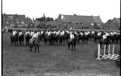 Groep paarden, Izegem 1957